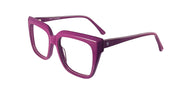 SOCA EYEWEAR SE 1722